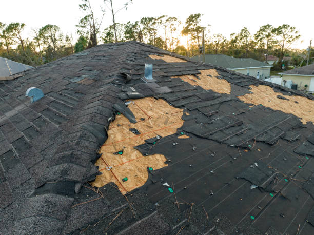 Best Roof Insulation Installation  in Victoria, KS